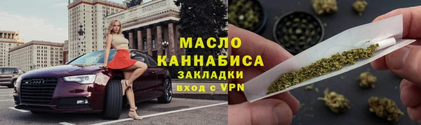 индика Абаза