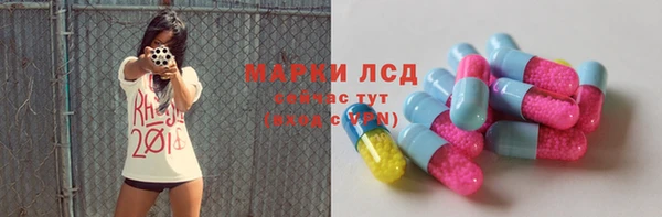 индика Абаза