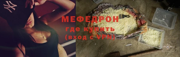 индика Абаза
