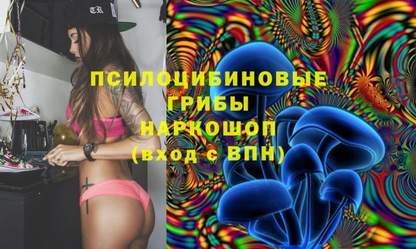 индика Абаза