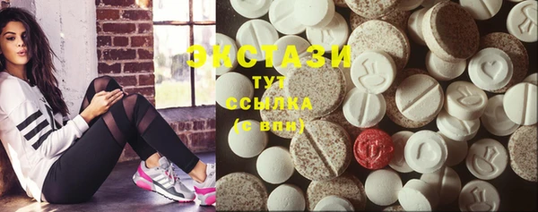индика Абаза