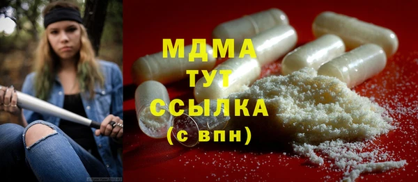 индика Абаза