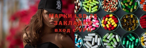 индика Абаза